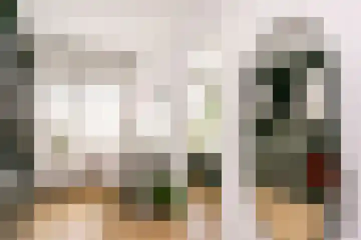 Zebraspoor 165 Maarssen thumbnail 16