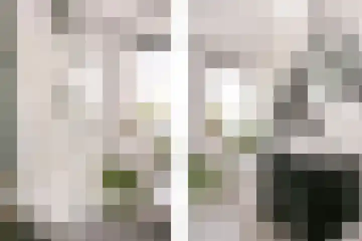 Zebraspoor 165 Maarssen thumbnail 27