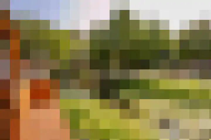 Zebraspoor 165 Maarssen thumbnail 32