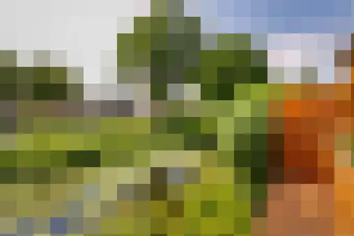 Zebraspoor 165 Maarssen thumbnail 33