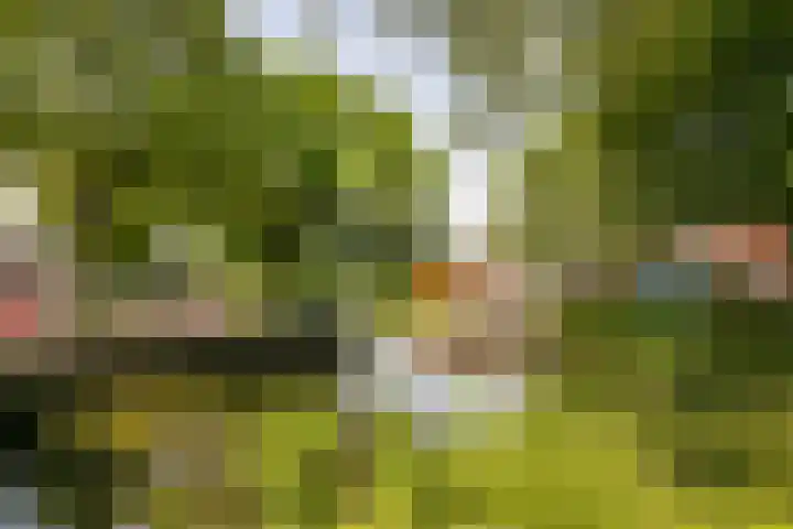 Zebraspoor 165 Maarssen thumbnail 34