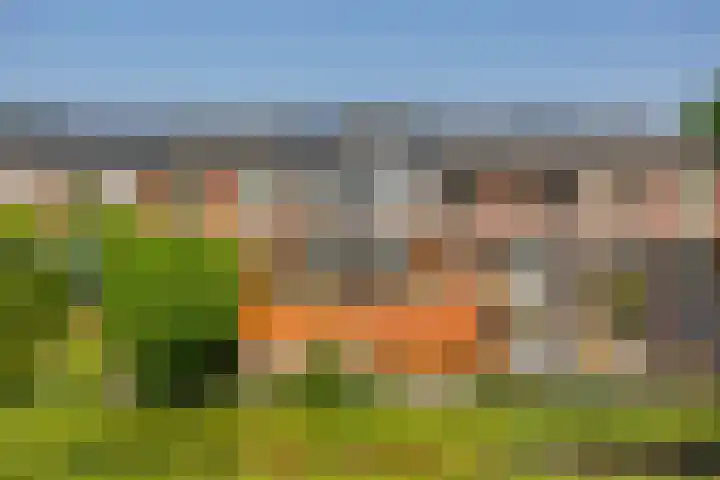 Zebraspoor 165 Maarssen thumbnail 35