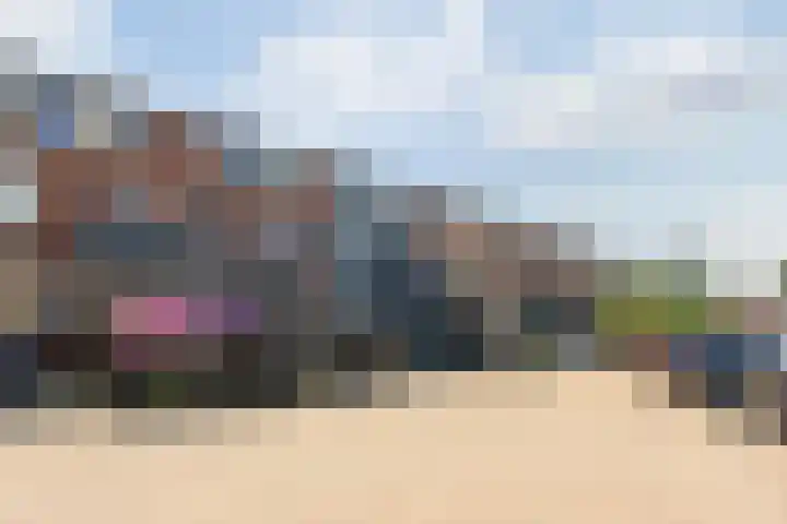 Zebraspoor 165 Maarssen thumbnail 38