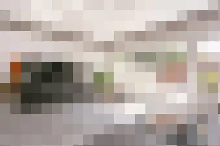 Zebraspoor 165 Maarssen thumbnail 5