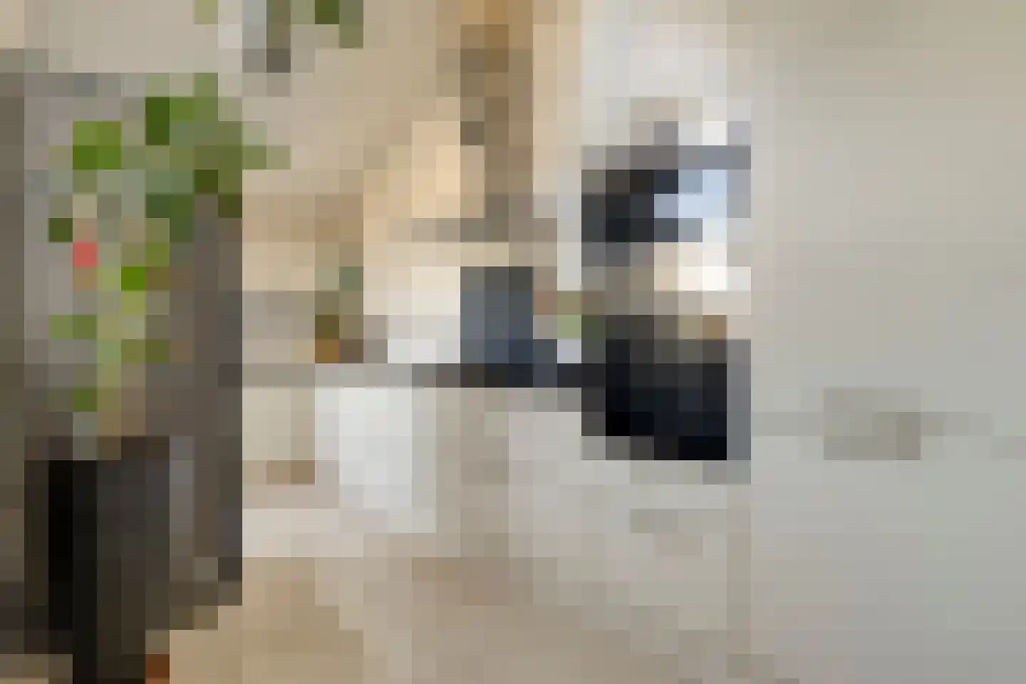 Zebraspoor 17 Maarssen thumbnail 11