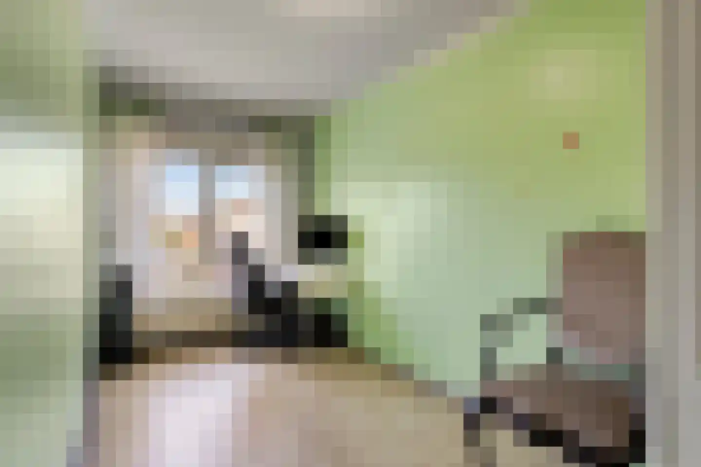 Zebraspoor 17 Maarssen thumbnail 19