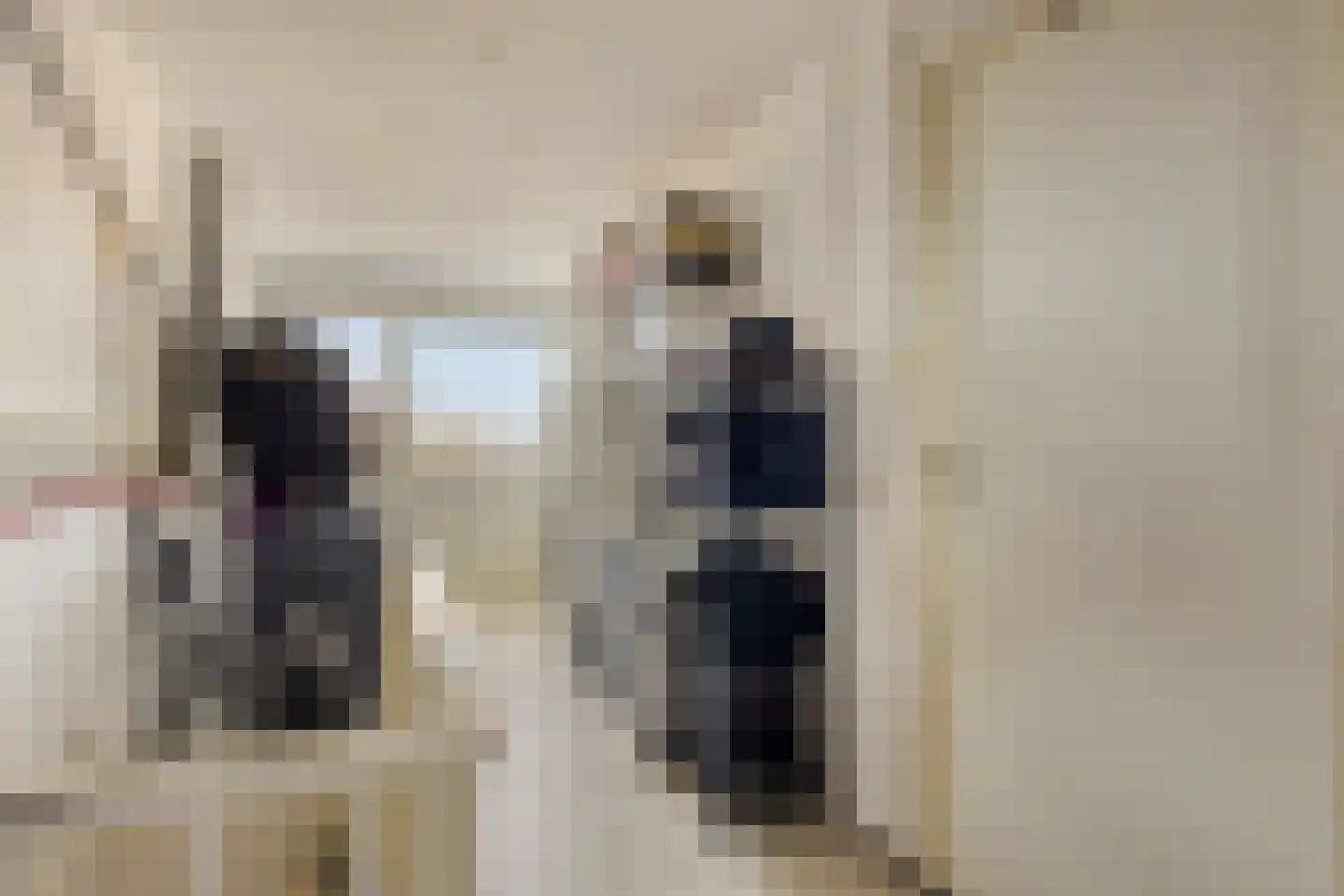 Zebraspoor 17 Maarssen thumbnail 21