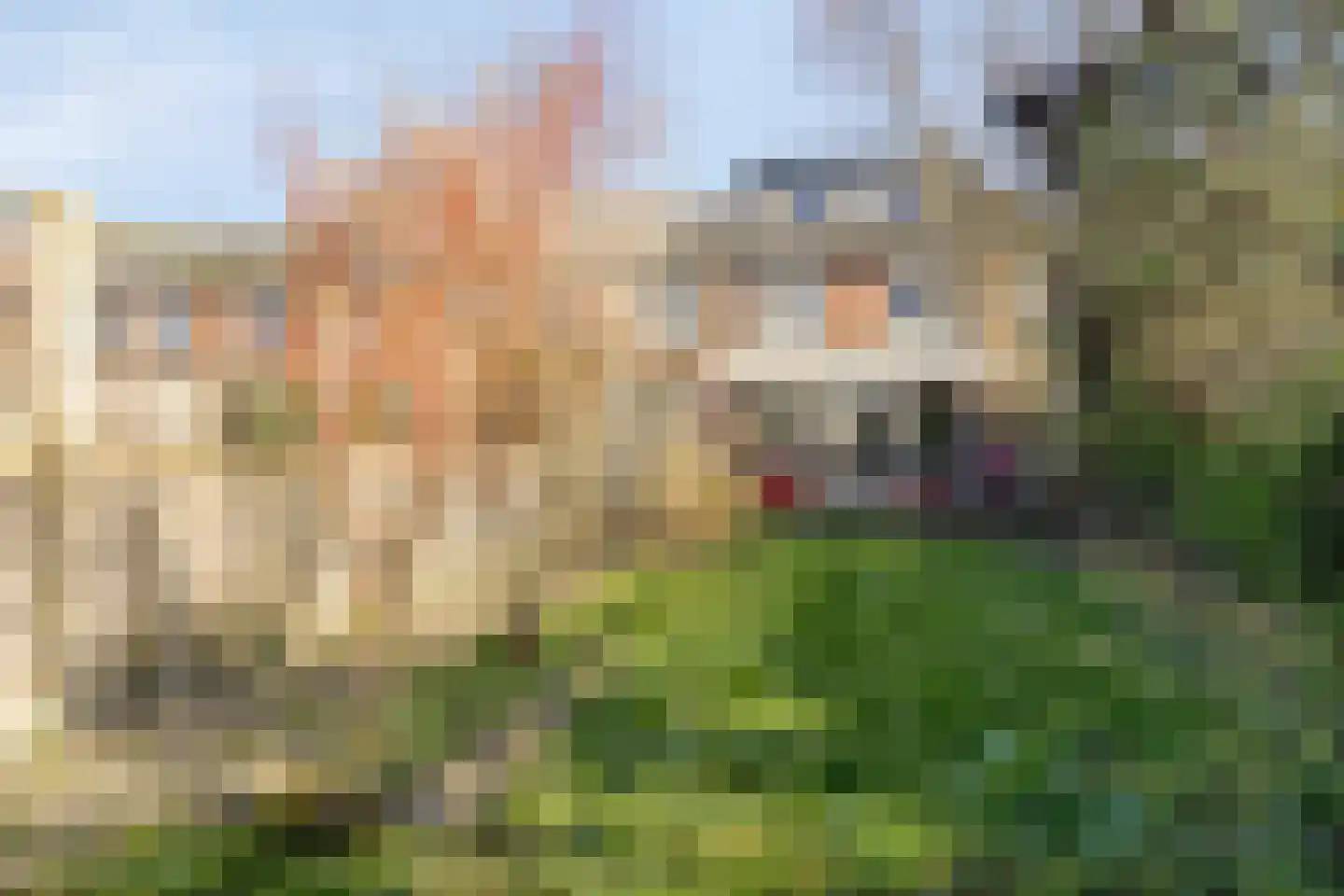 Zebraspoor 17 Maarssen thumbnail 28