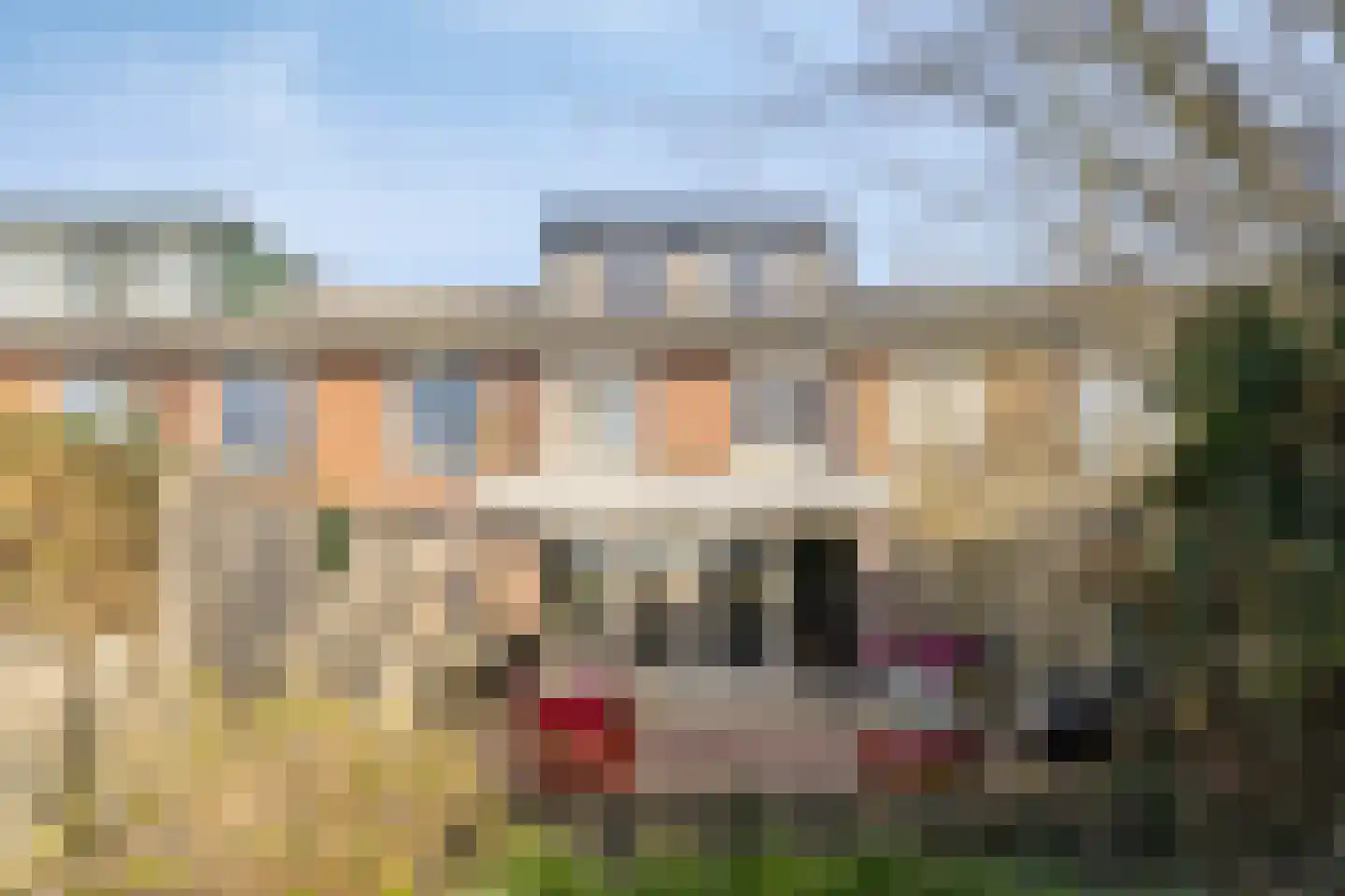 Zebraspoor 17 Maarssen thumbnail 30