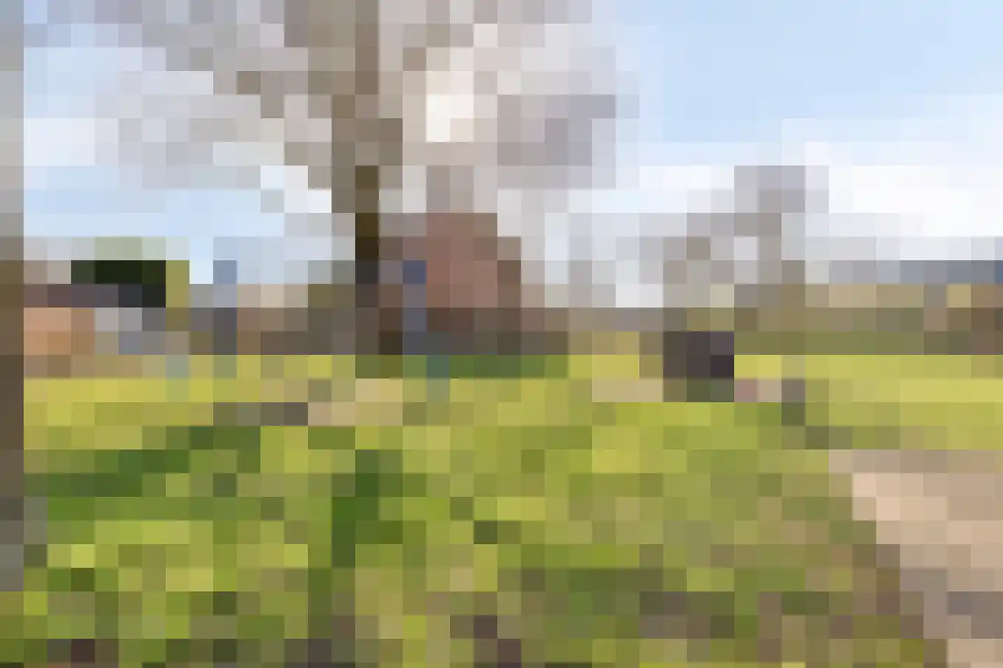 Zebraspoor 17 Maarssen thumbnail 33