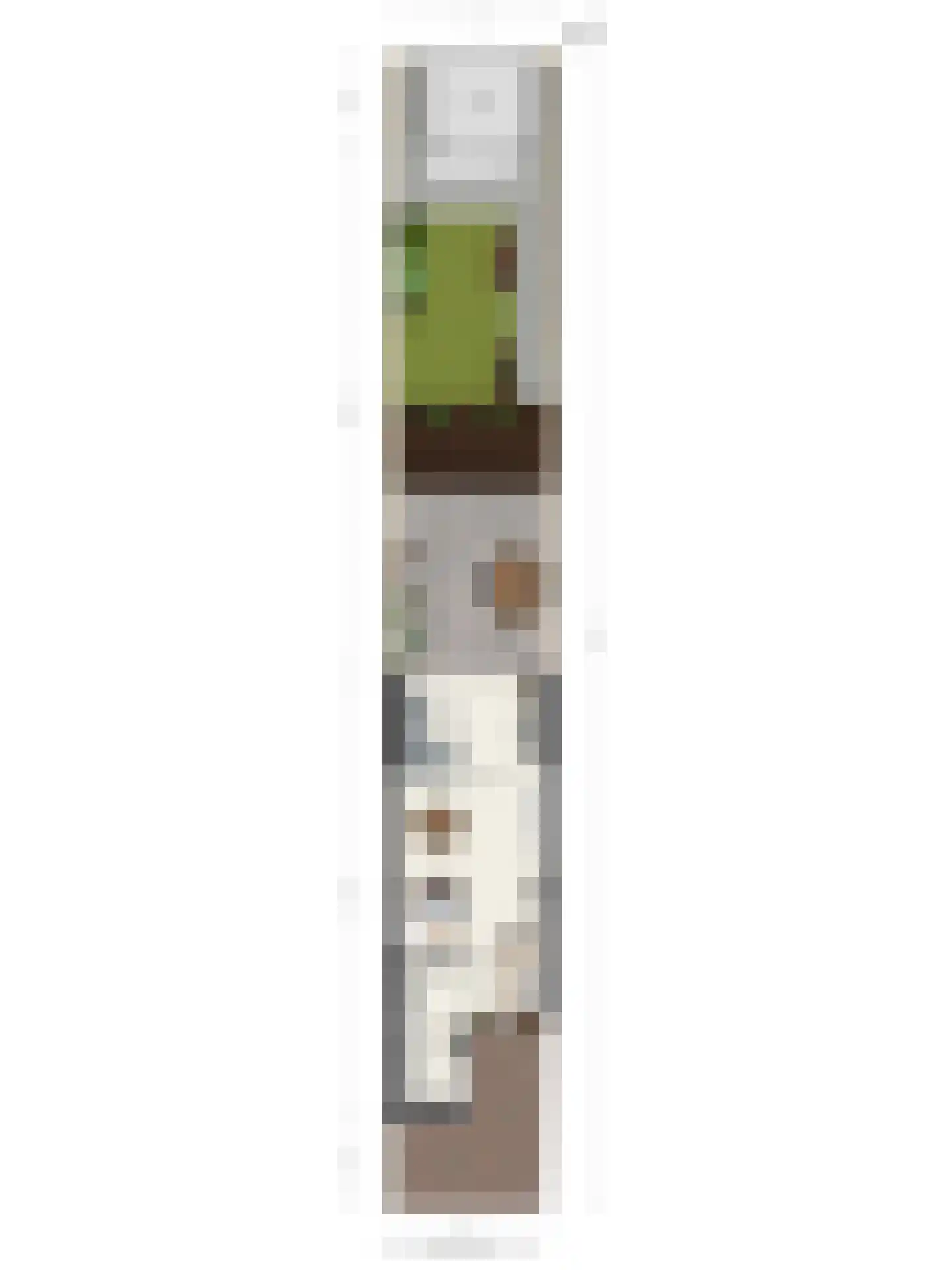 Zebraspoor 17 Maarssen thumbnail 38