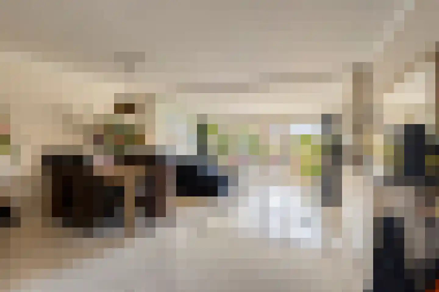 Zebraspoor 17 Maarssen thumbnail 4