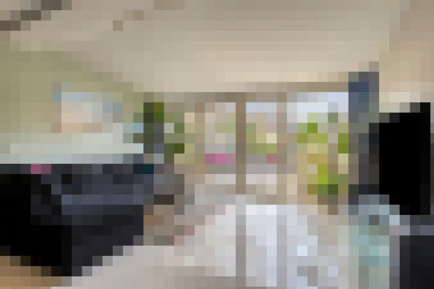 Zebraspoor 17 Maarssen thumbnail 5