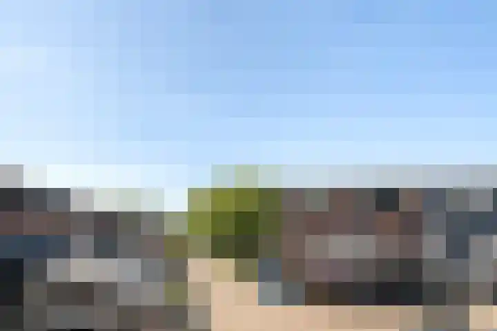 Zebraspoor 174 Maarssen thumbnail 20