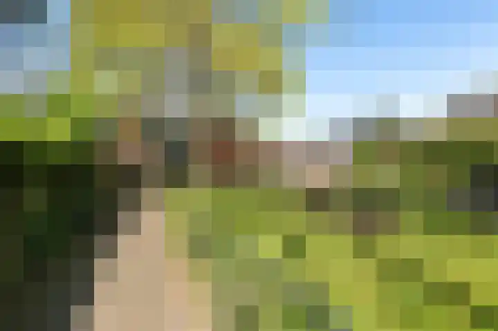 Zebraspoor 174 Maarssen thumbnail 21