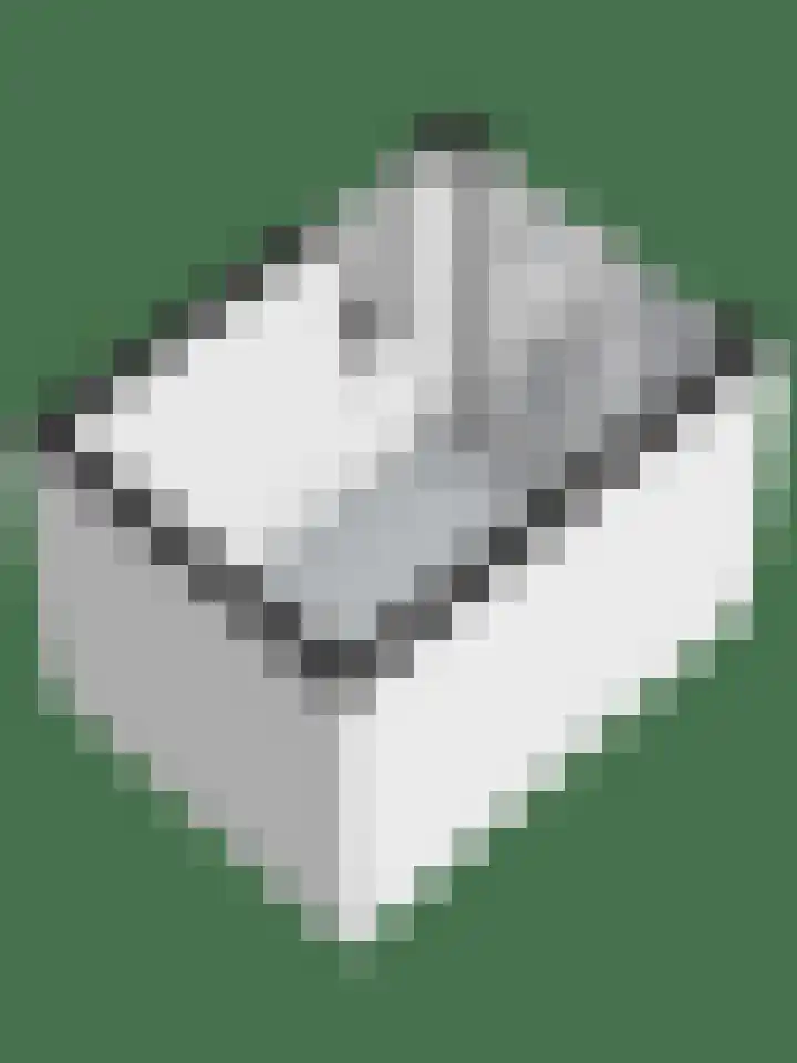Zebraspoor 174 Maarssen thumbnail 27
