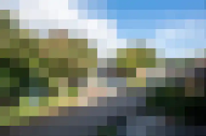 Zebraspoor 185 Maarssen thumbnail 28