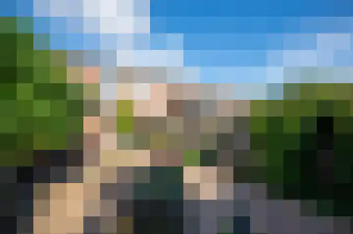 Zebraspoor 185 Maarssen thumbnail 40