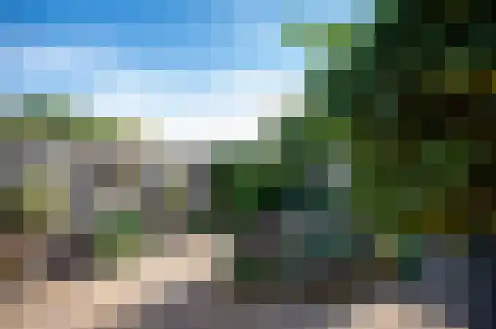 Zebraspoor 185 Maarssen thumbnail 42