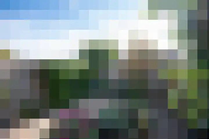 Zebraspoor 185 Maarssen thumbnail 43