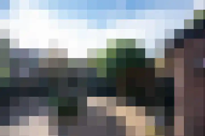 Zebraspoor 185 Maarssen thumbnail 5