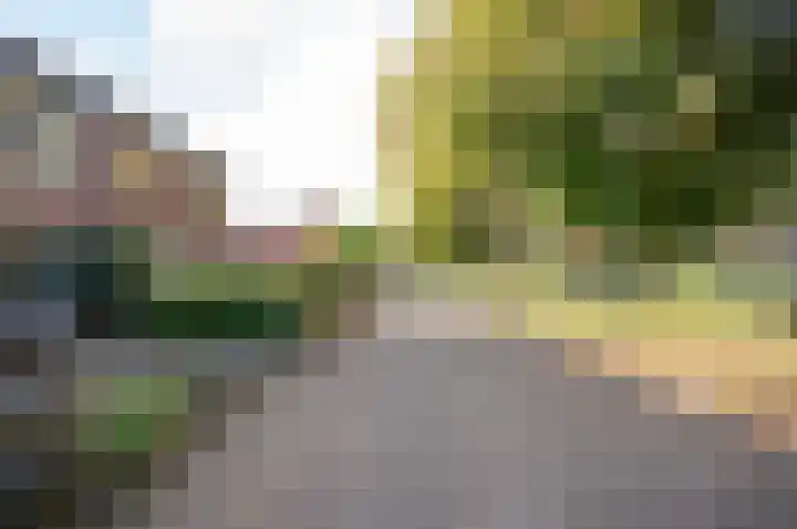 Zebraspoor 185 Maarssen thumbnail 7