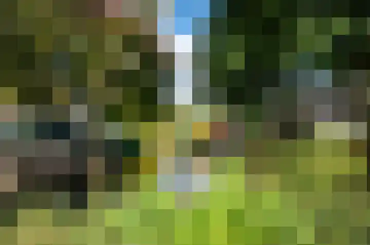 Zebraspoor 185 Maarssen thumbnail 8