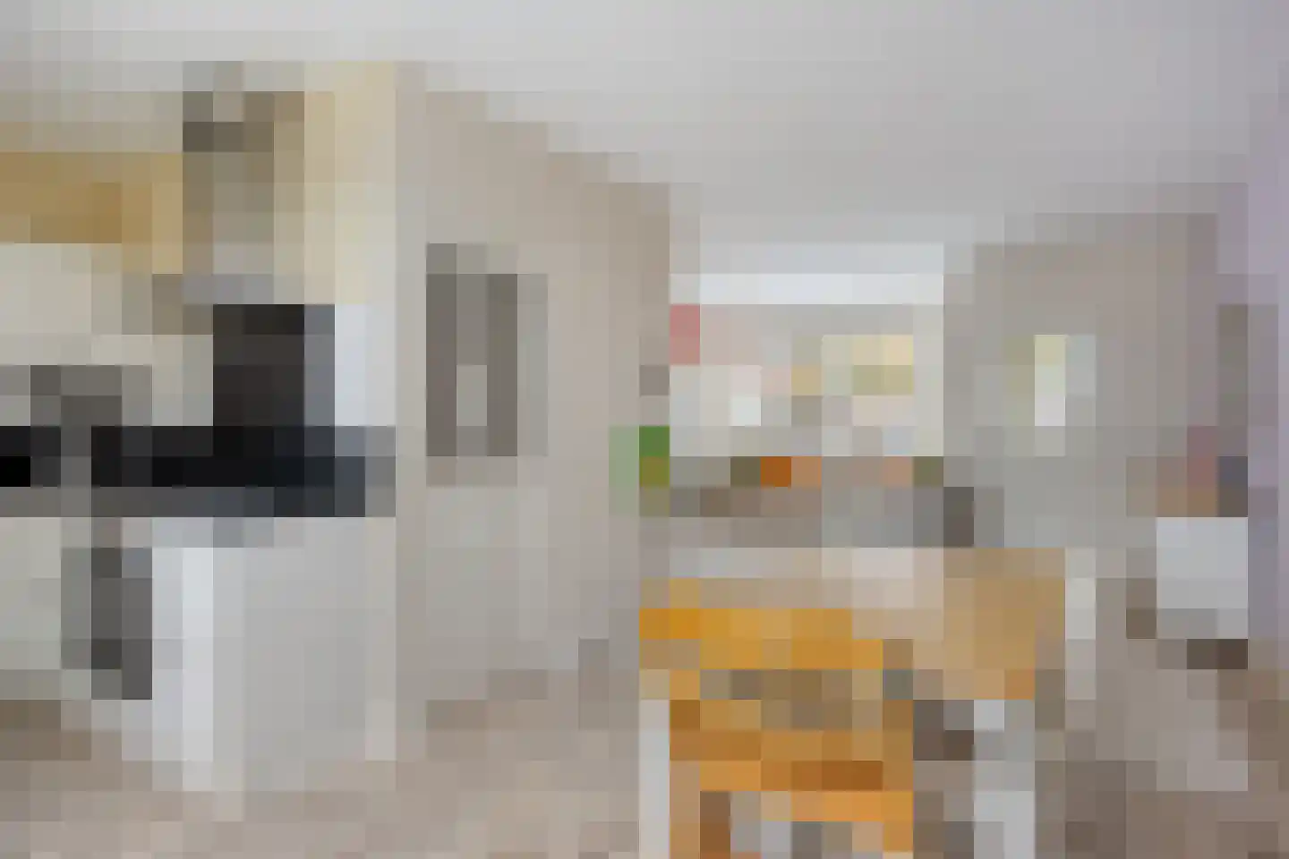 Zebraspoor 188 Maarssen thumbnail 10