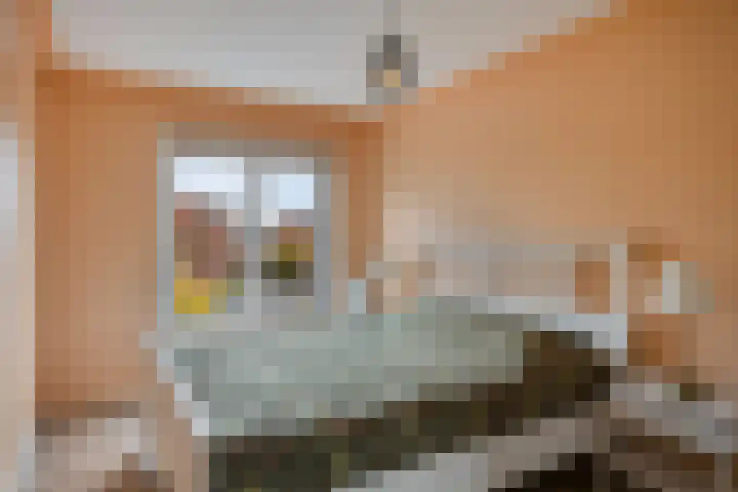 Zebraspoor 188 Maarssen thumbnail 23
