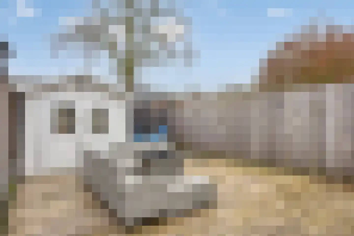 Zebraspoor 188 Maarssen thumbnail 28