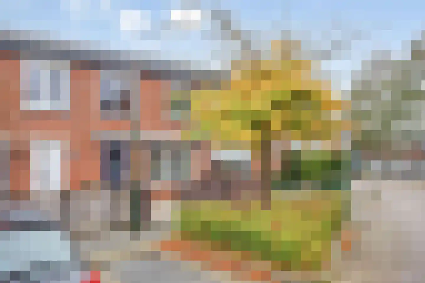 Zebraspoor 188 Maarssen thumbnail 35
