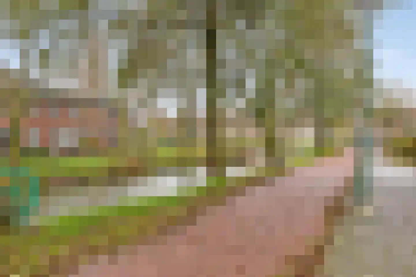 Zebraspoor 188 Maarssen thumbnail 39