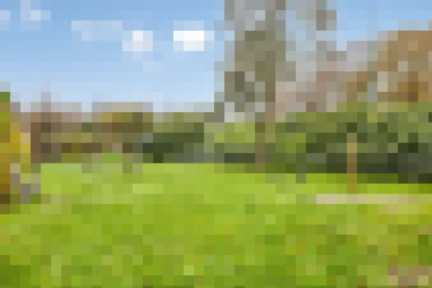 Zebraspoor 188 Maarssen thumbnail 40