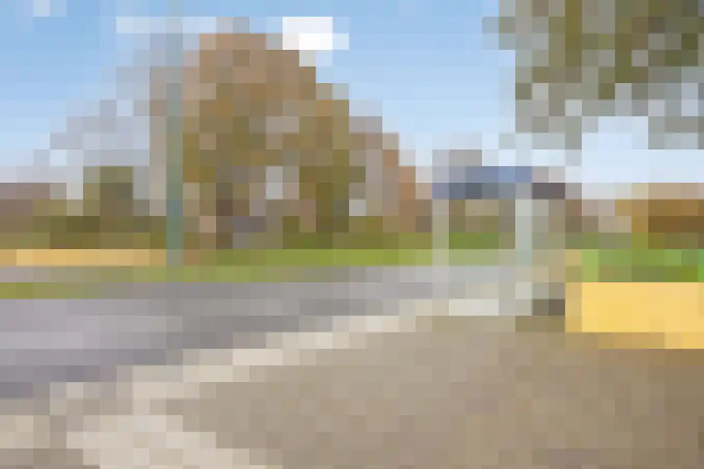 Zebraspoor 188 Maarssen thumbnail 41