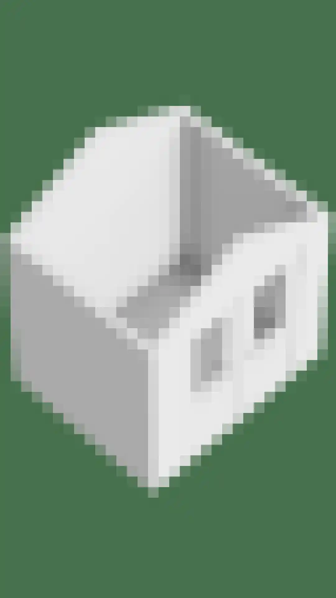 Zebraspoor 188 Maarssen thumbnail 45