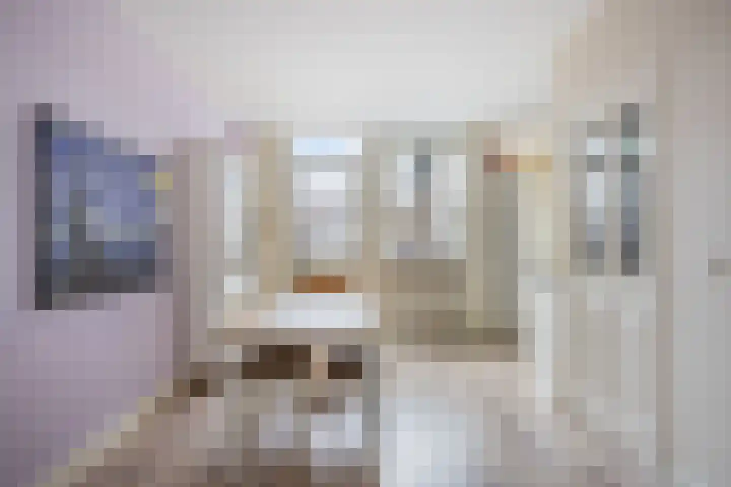 Zebraspoor 188 Maarssen thumbnail 9