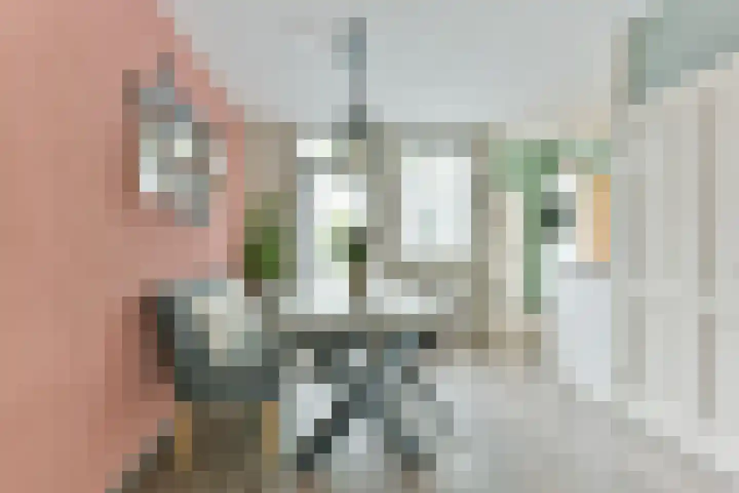 Zebraspoor 195 Maarssen thumbnail 11