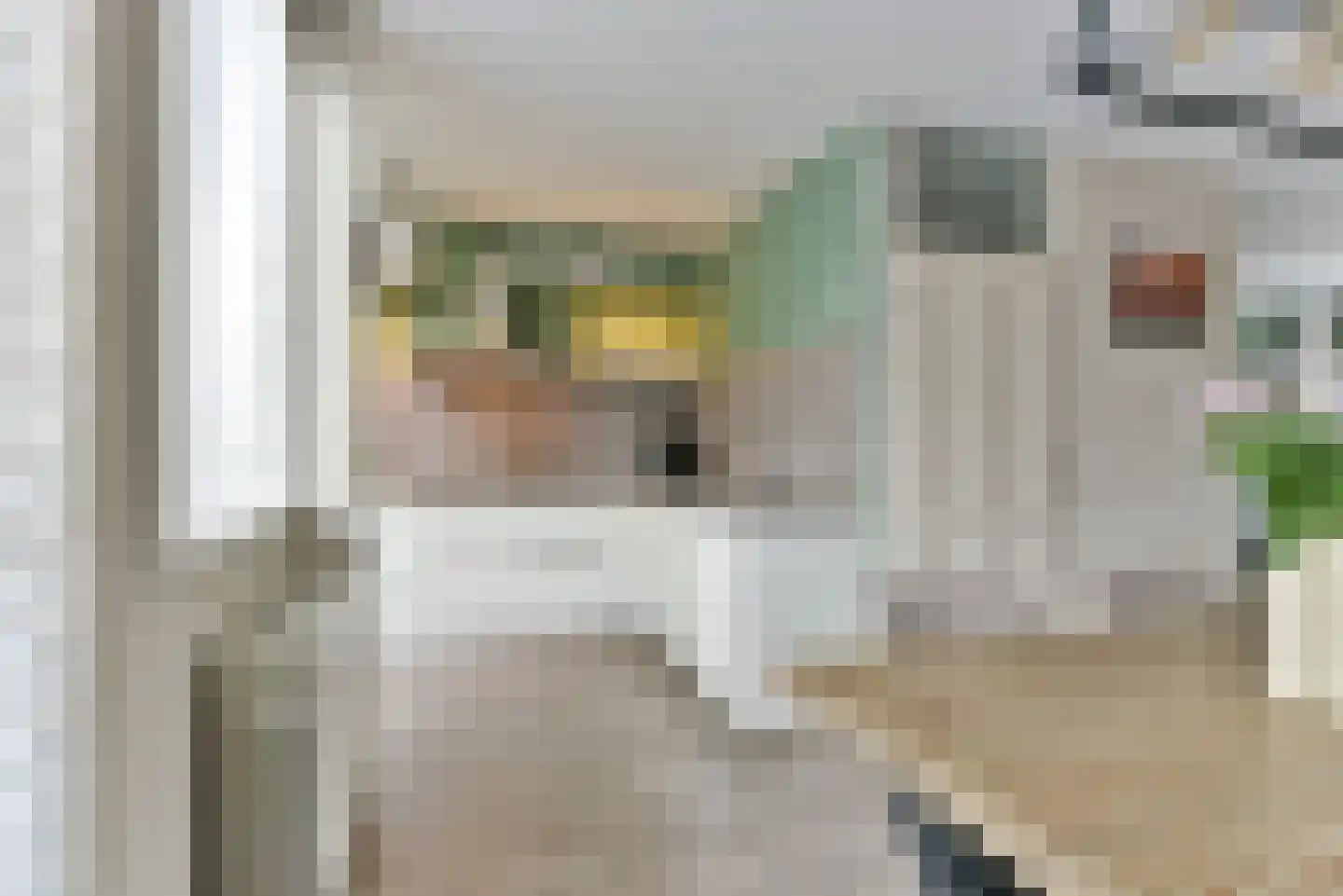Zebraspoor 195 Maarssen thumbnail 12