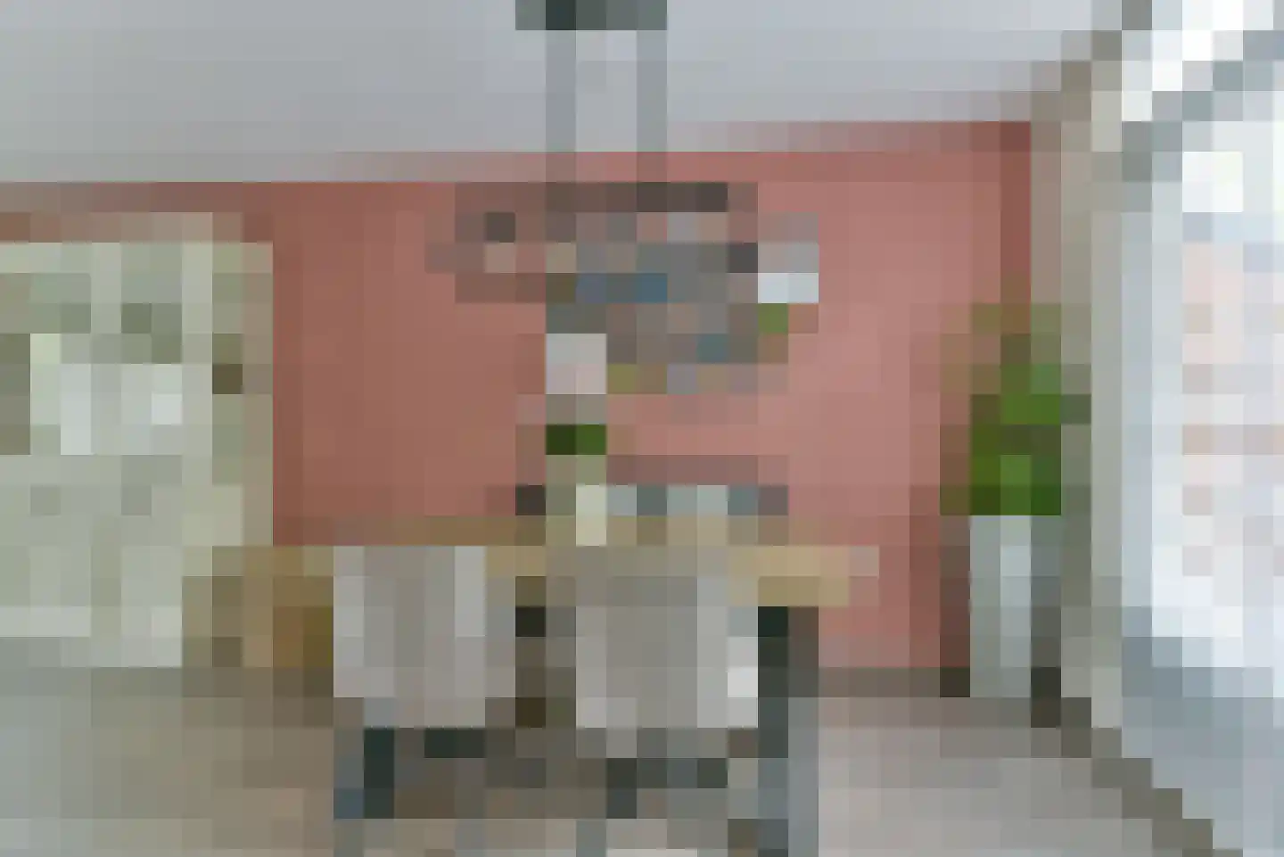 Zebraspoor 195 Maarssen thumbnail 17