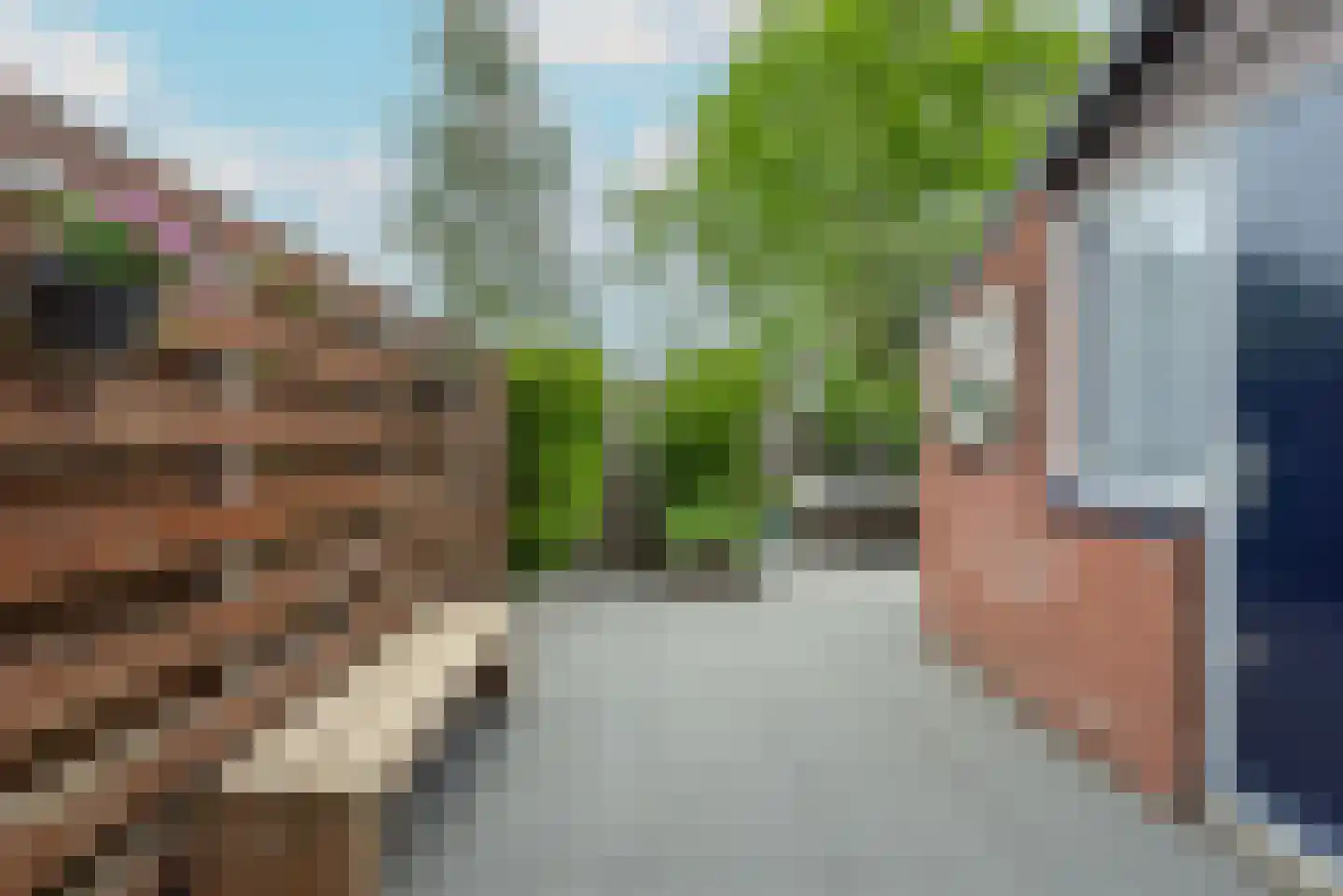 Zebraspoor 195 Maarssen thumbnail 18