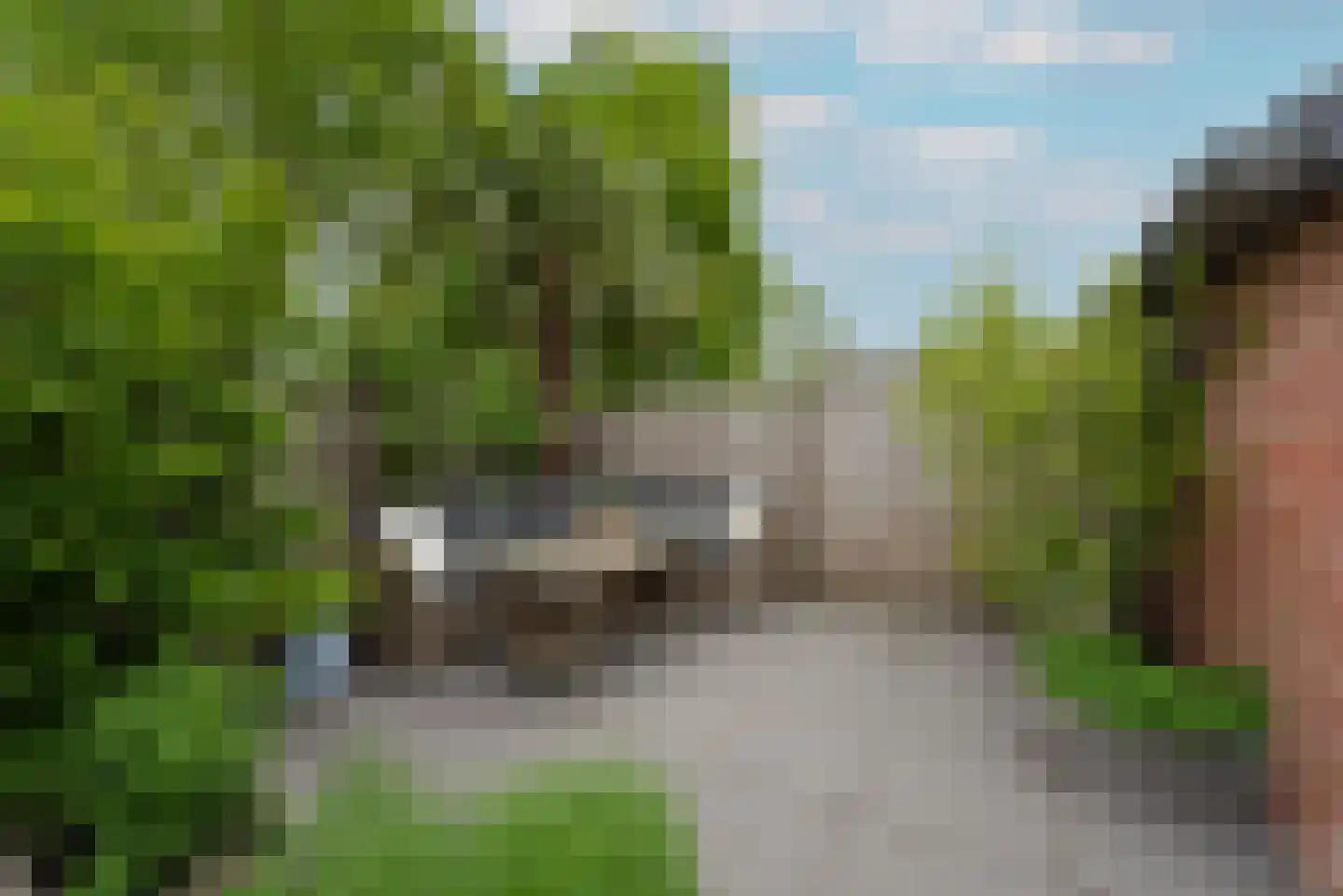Zebraspoor 195 Maarssen thumbnail 19