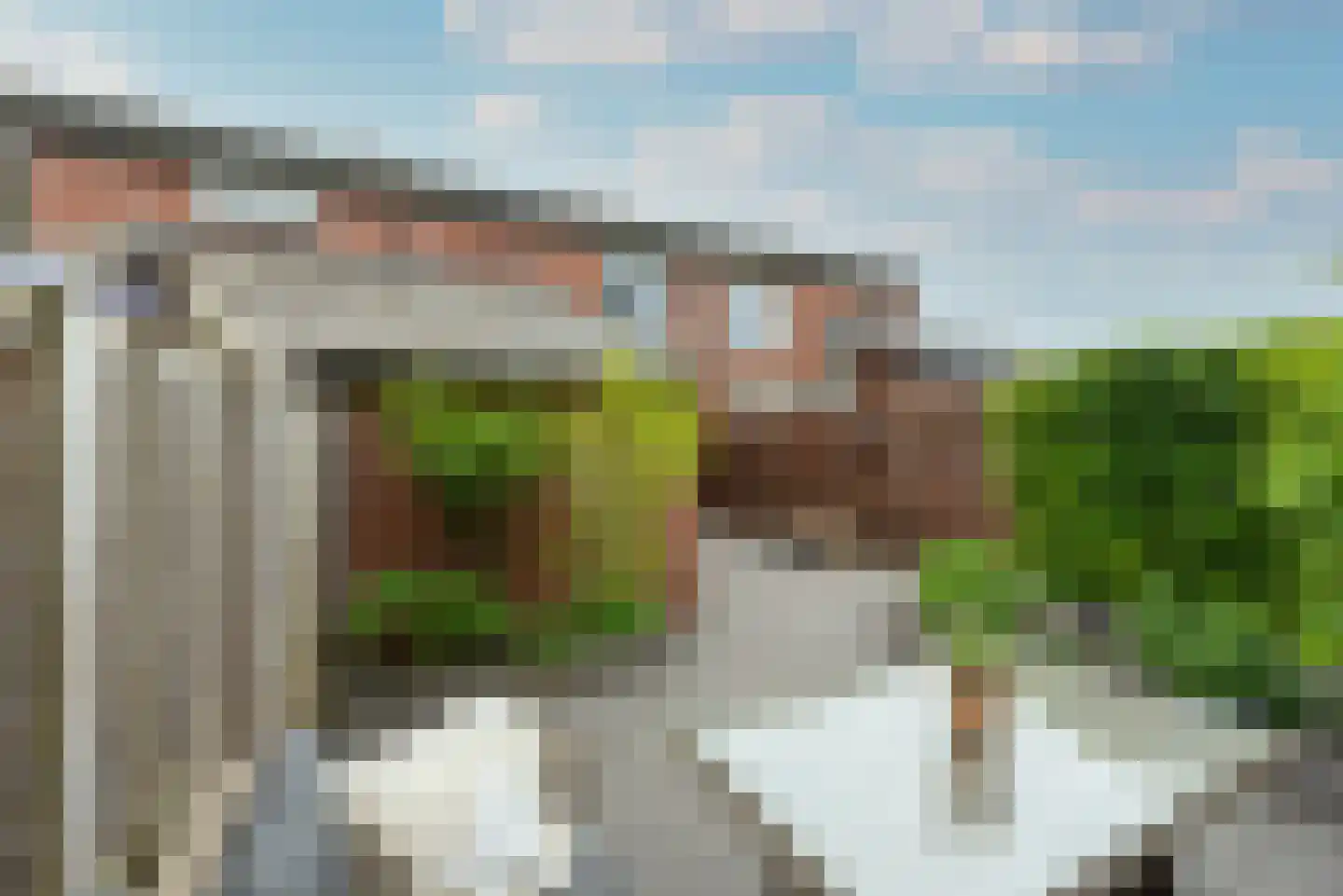 Zebraspoor 195 Maarssen thumbnail 20