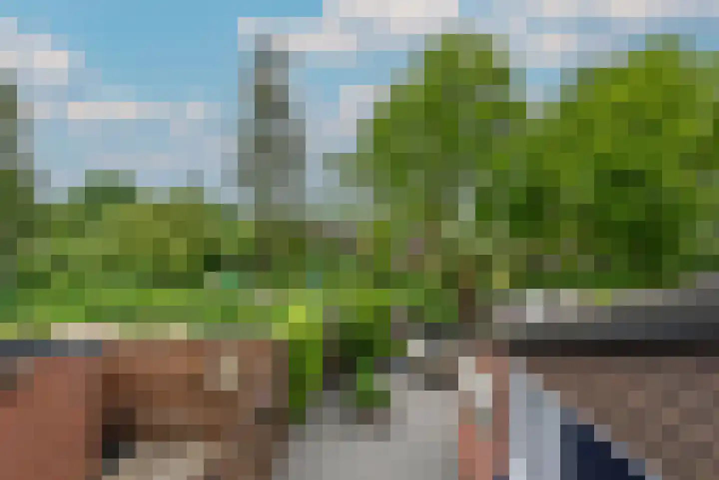 Zebraspoor 195 Maarssen thumbnail 30