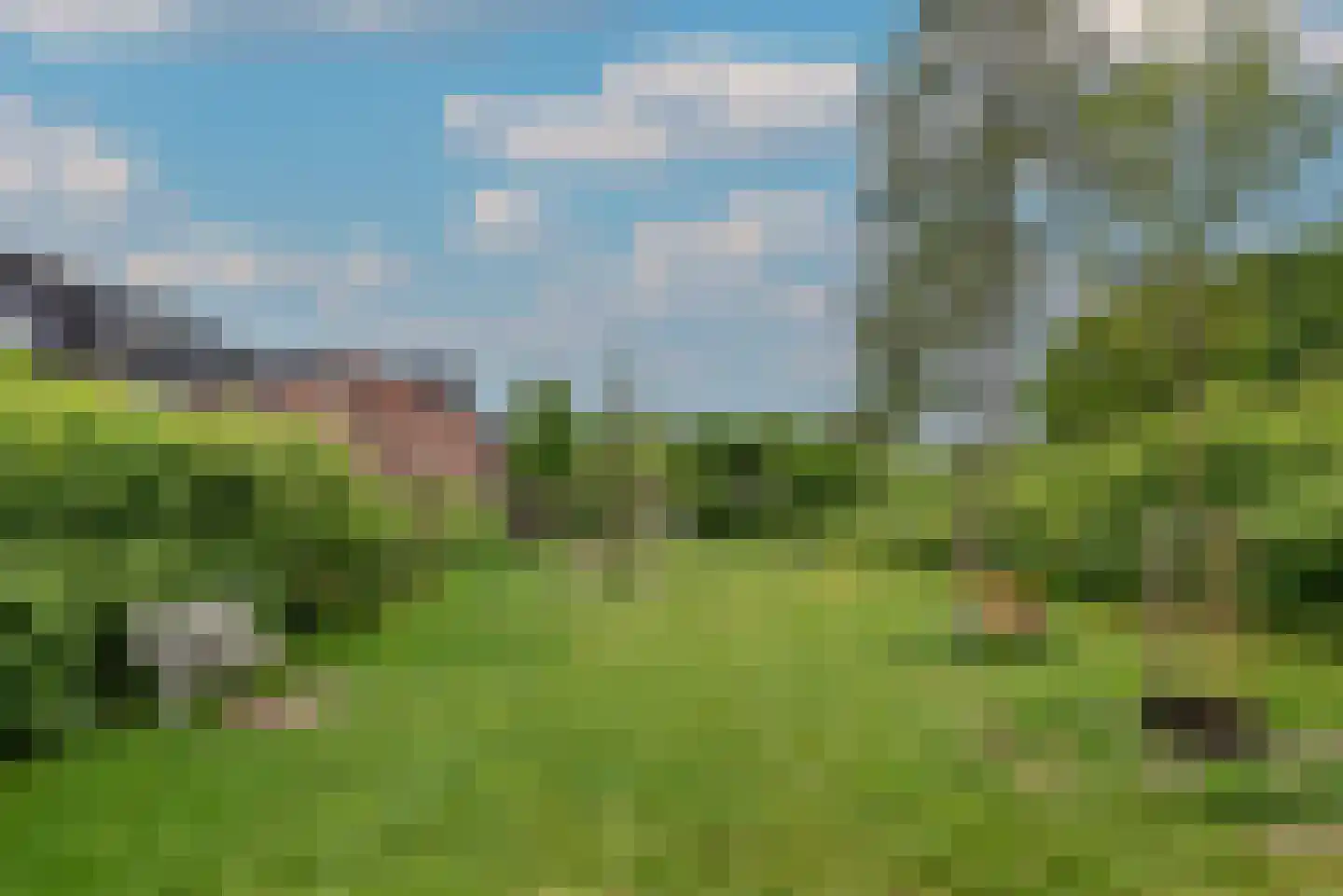 Zebraspoor 195 Maarssen thumbnail 37