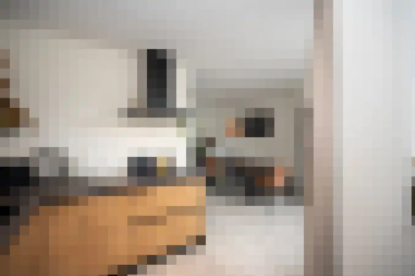 Zebraspoor 400 Maarssen thumbnail 11