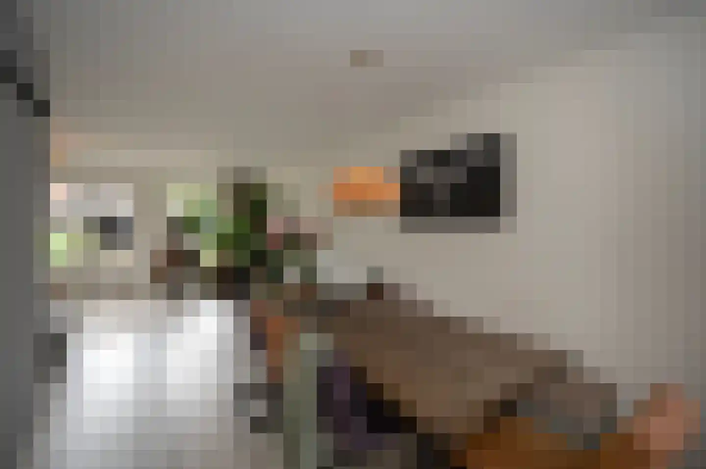 Zebraspoor 400 Maarssen thumbnail 13