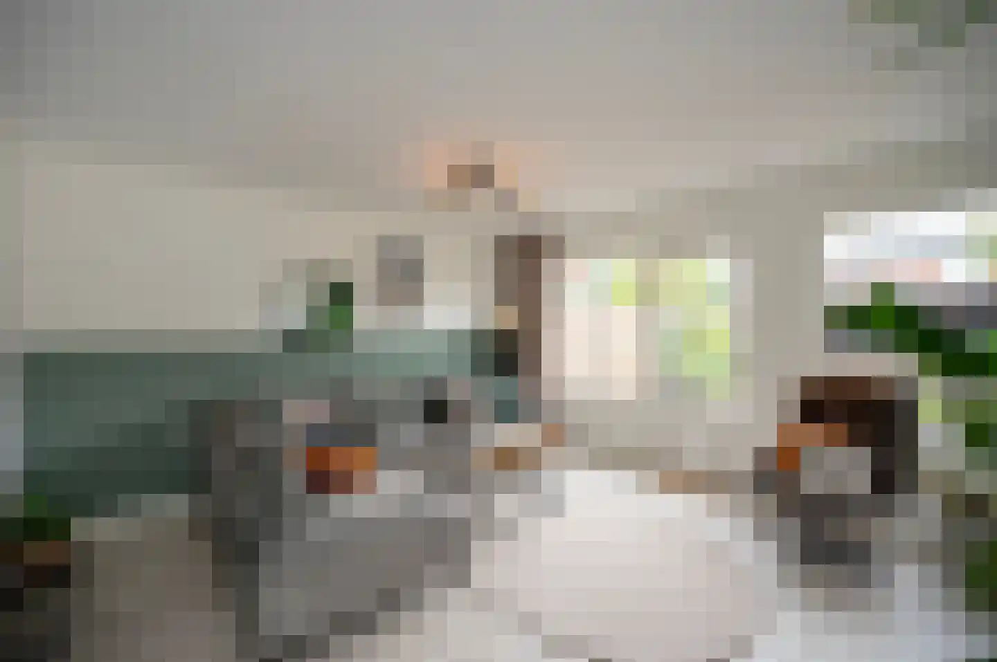 Zebraspoor 400 Maarssen thumbnail 17