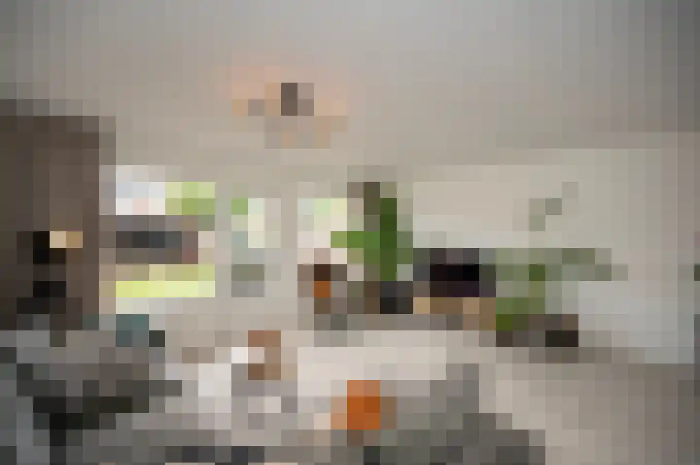 Zebraspoor 400 Maarssen thumbnail 18