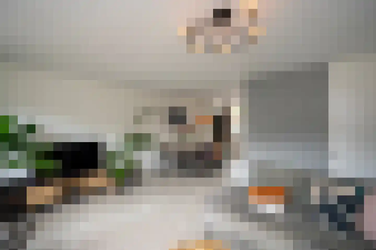 Zebraspoor 400 Maarssen thumbnail 19