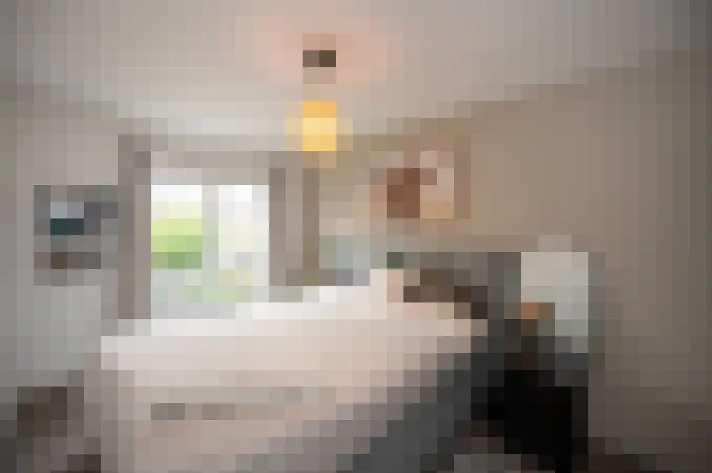 Zebraspoor 400 Maarssen thumbnail 27